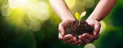 Documentazione dell'incontro - Faschim incontra le aziende