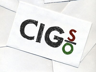 On line la documentazione dell'Incontro "La gestione degli ammortizzatori sociali: Cigo e Cigs" 