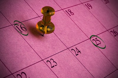 Scadenzario Lavoro e Previdenza - Novembre 2025