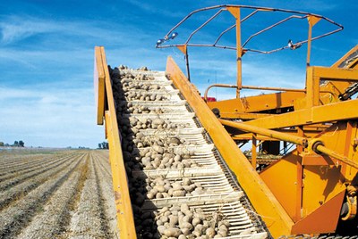 Innovazione digitale nel settore alimentazione: un percorso