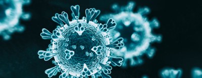 Coronavirus. Le FAQ del Garante Privacy