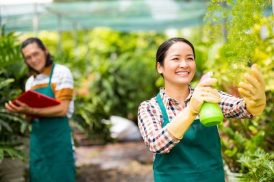 Guida al Regolamento sui biocidi