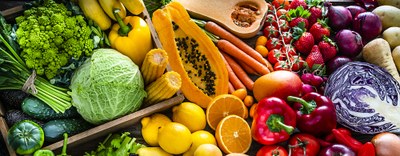 Agritech 4 Future Food Accelerator