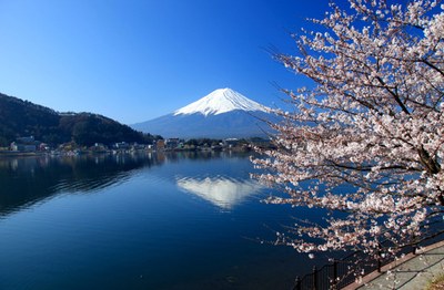 Fintech Business Camp Tokyo: vola in Giappone con la tua startup (o azienda) dedicata al fintech