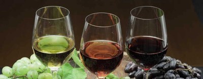 Godivino - Il vino come non l’hai mai vissuto